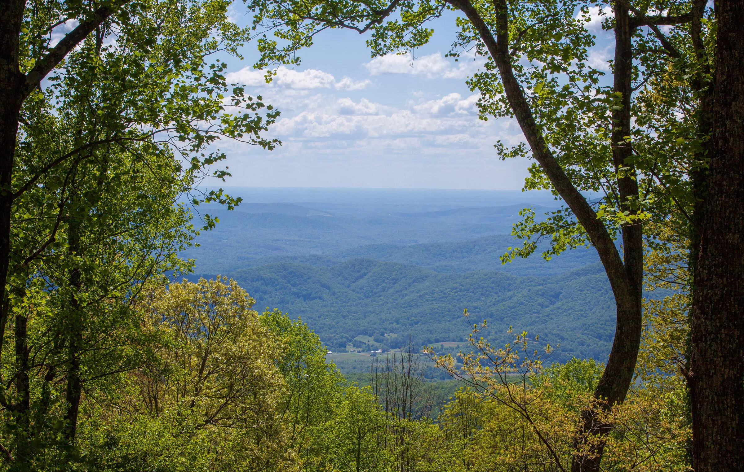 View down the Blue Ridge into the valley from the property